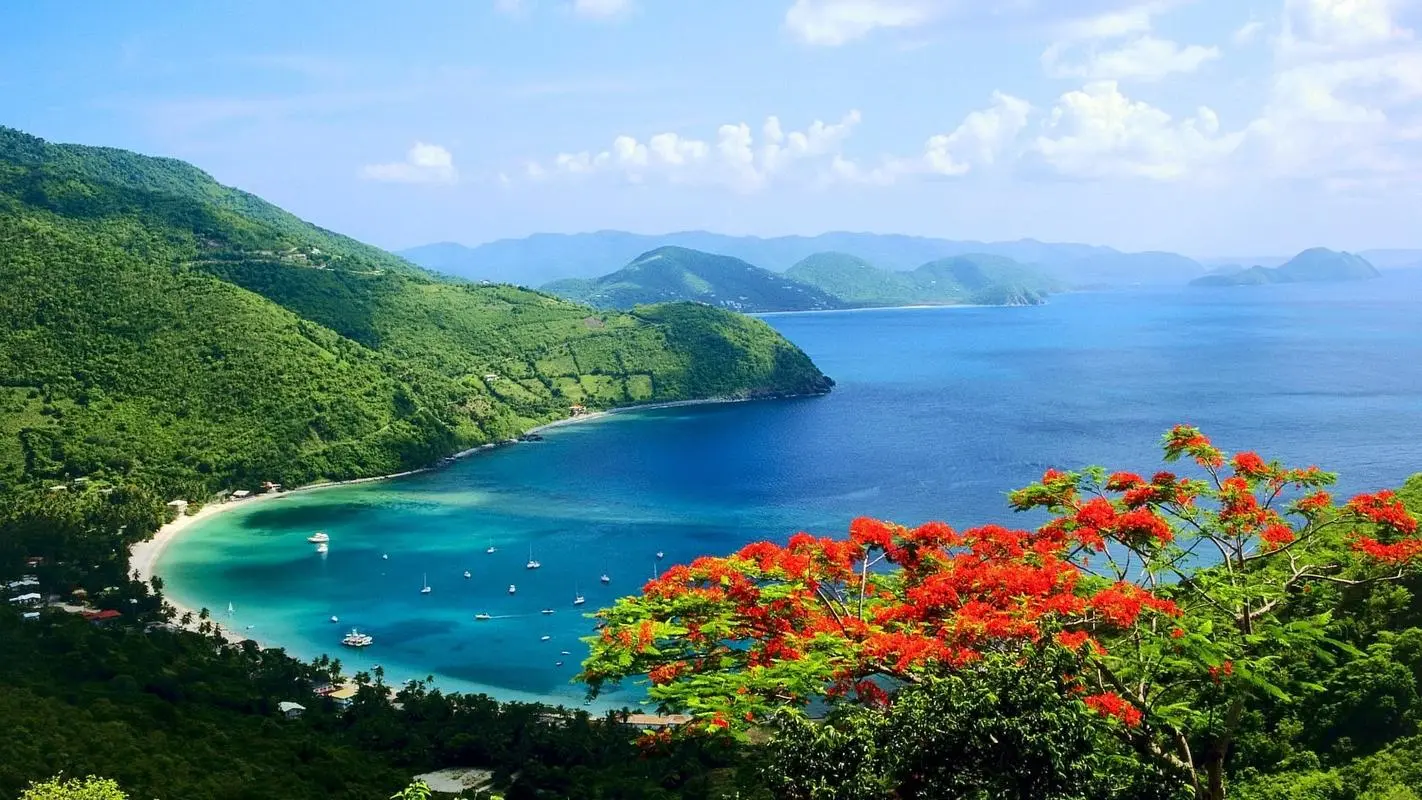 自动化高端